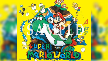 Super Mario World on Vinyl